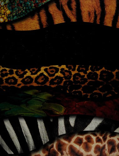 Big Book of Animals (Encyclopedia 128)