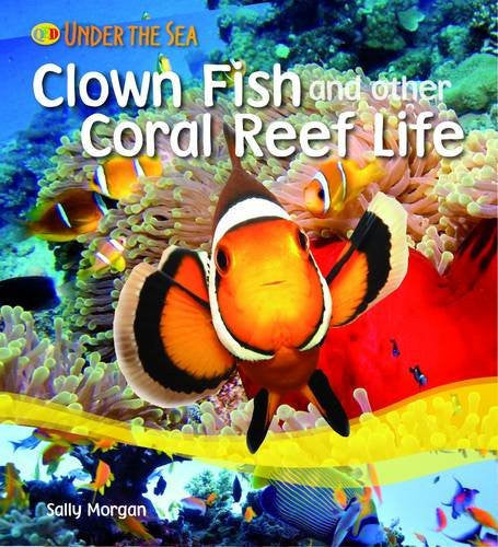 Clown Fish and Other Coral Reef Life (Under the Sea)