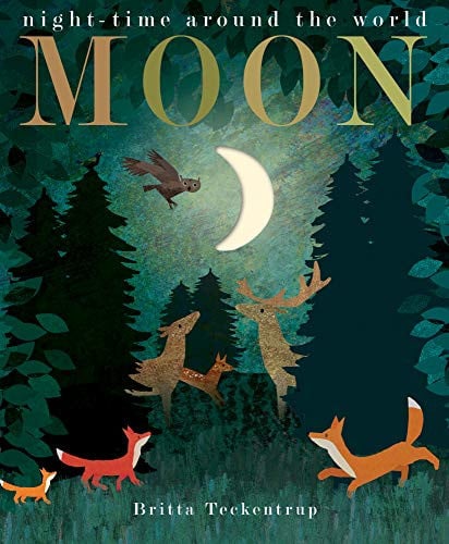 Moon: night-time around the world (Peek-through Nature)