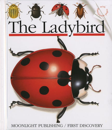 The Ladybird: No. 1 (First Discovery Series)