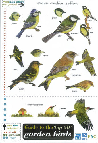 Wildlife World Birds Field Guide