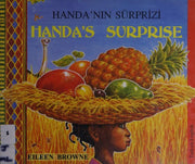 Handa's Surprise in Turkish and English