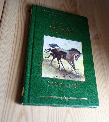 Black Beauty (Classic adventures)