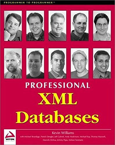 Professional XML Databases