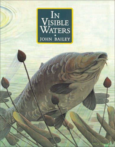 In Visible Waters