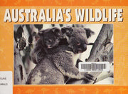 Australia's Wildlife