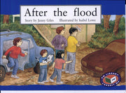 After the flood