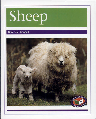 Sheep
