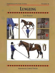 Lungeing (Threshold Picture Guide)