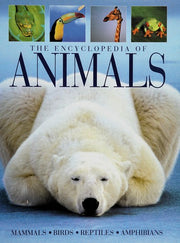 The Encyclopedia of Animals : Mammals, Birds, Reptiles, Amphibians