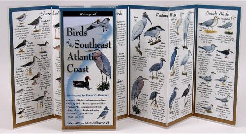 Birds of the Southeast Atlantic Coast: Folding Guide (Foldingguides)