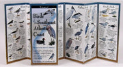 Birds of the Southeast Atlantic Coast: Folding Guide (Foldingguides)