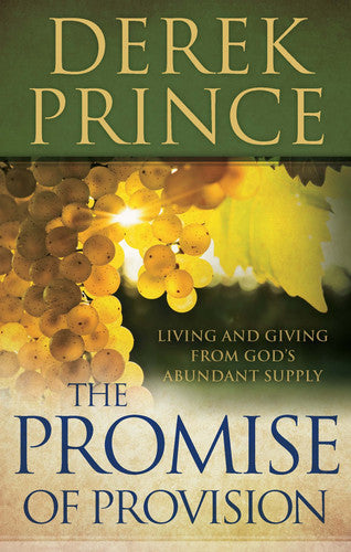 The Promise of Provision