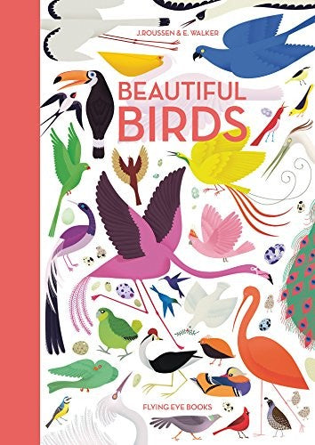 Beautiful Birds: 1