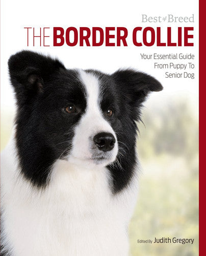 Border Collie Best of Breed: Your Essential Guide from Puppy to Senior Dog