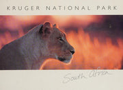 Kruger National Park