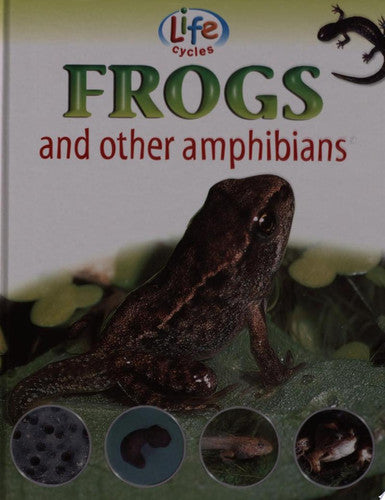 Frogs and Other Amphibians (Life Cycles)
