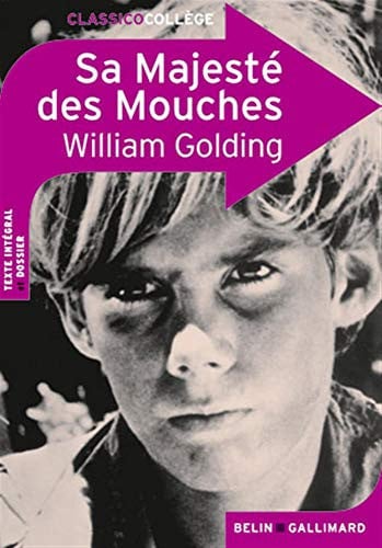 Sa majeste des mouches