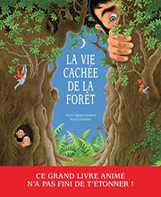 La Vie cachée de la forêt