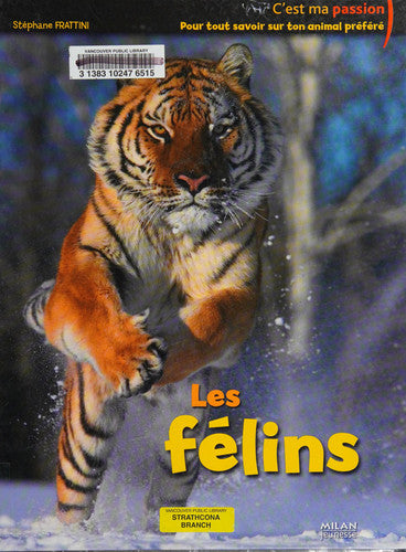 Les félins
