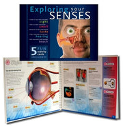 Exploring Your Senses