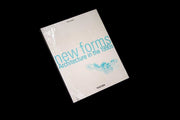 New Forms: Architecture in the 1990s