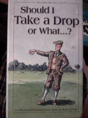 Should I Take a Drop or What...?