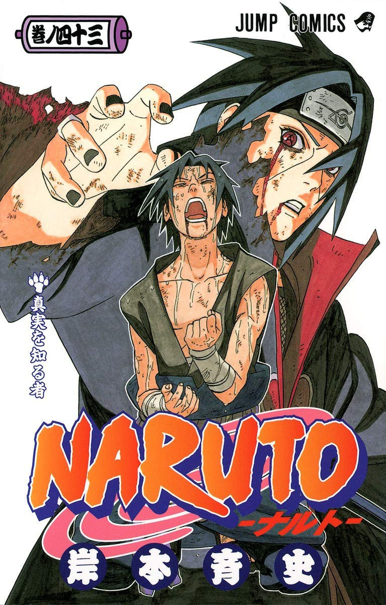 Naruto, Volume 43 (Naruto (Japanese))