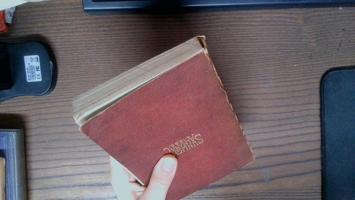 SUNLIGHT ALMANAC 1896:  a home treasury of information