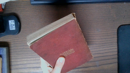 SUNLIGHT ALMANAC 1896:  a home treasury of information