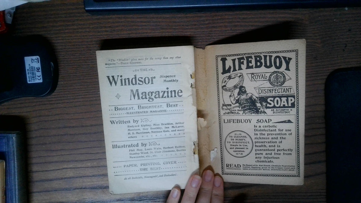 SUNLIGHT ALMANAC 1896:  a home treasury of information