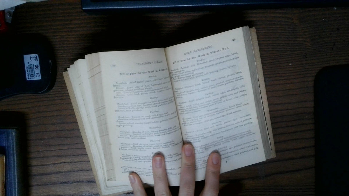 SUNLIGHT ALMANAC 1896:  a home treasury of information