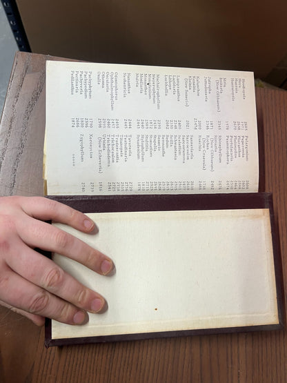 Photographic Reference Plates Cactuses RARE, E & B M Lamb, One volume, Starts 13