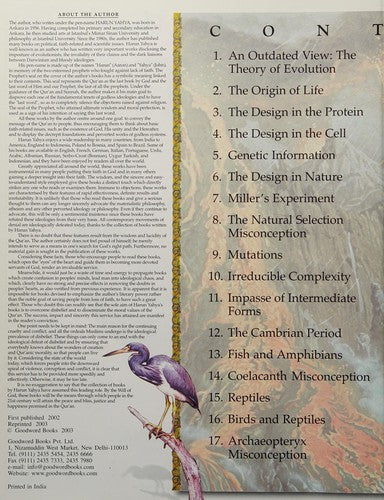Tell Me About the Creation