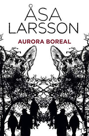 Aurora boreal