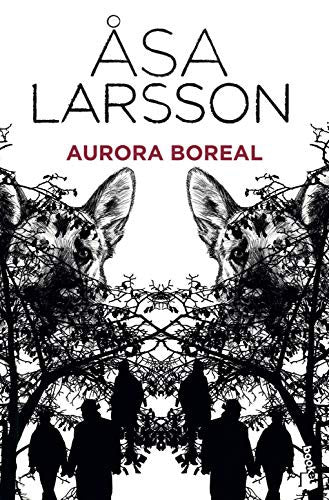 Aurora boreal