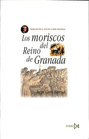 Ciclos y Temas de La Historia de Espana: Los Moriscos del Reino de Granada: Ensayo de Historia Social: 50 (Fundamentos)