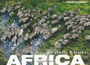 Africa (Flying High)