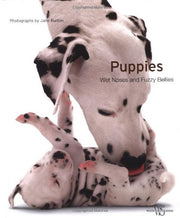 Puppies: Wet Noses and Fuzzy Bellies (Pets)