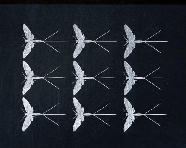 Darren Smith - Mayflies