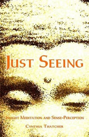 Just Seeing: Insight Meditation and Sense Perception