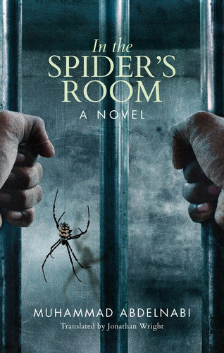 In the Spider's Room: A Novel (Hoopoe Fiction)