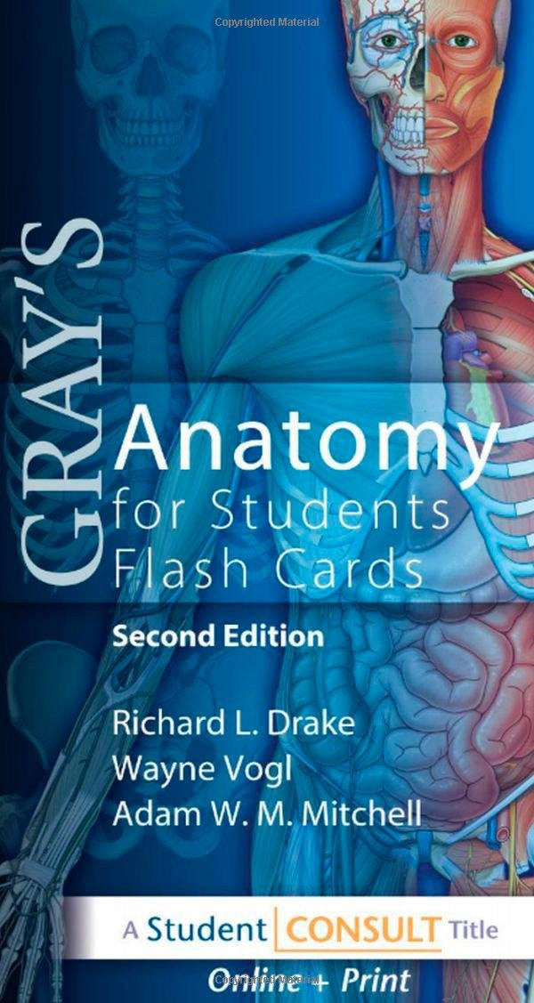 Gray's Anatomy for Students Flash Cards Gray's Anatomy for Students Flash Cards