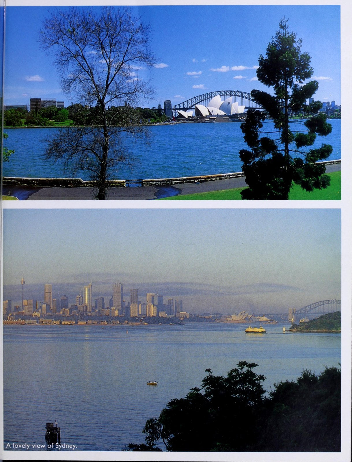 SYDNEY AUSTRALIA THE BEAUTIFUL CITY