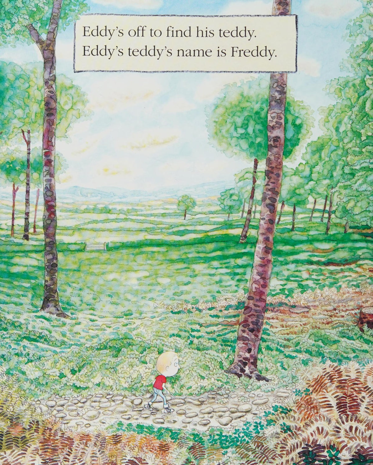 Walker Books Where's My Teddy?
