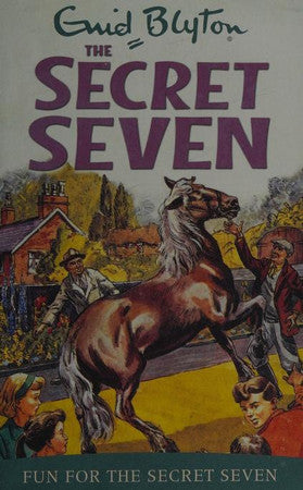 Fun For The Secret Seven: Book 15