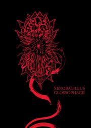 Xenobacillus glossophagii