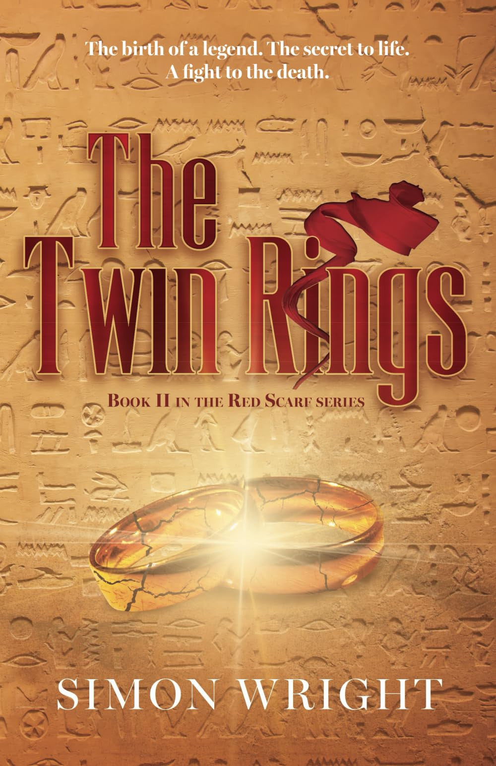 The Twin Rings (The Red Scarf Series)
