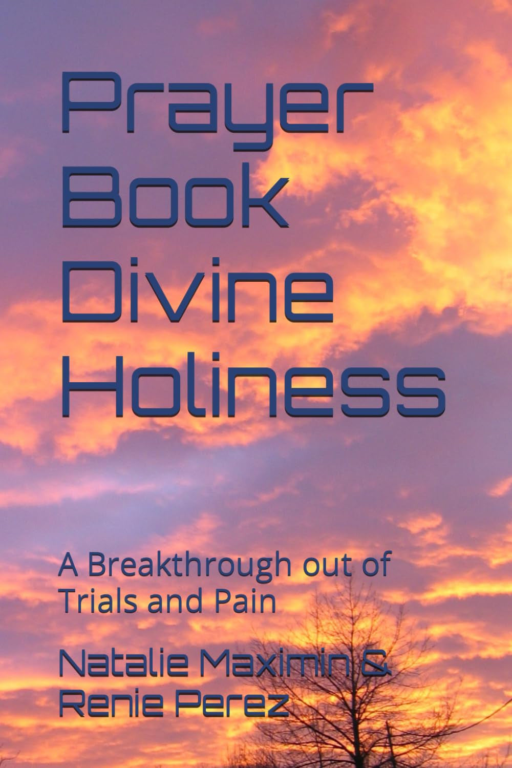 Prayer Book Divine Holiness: A Breakthrough out of Trials and Pain