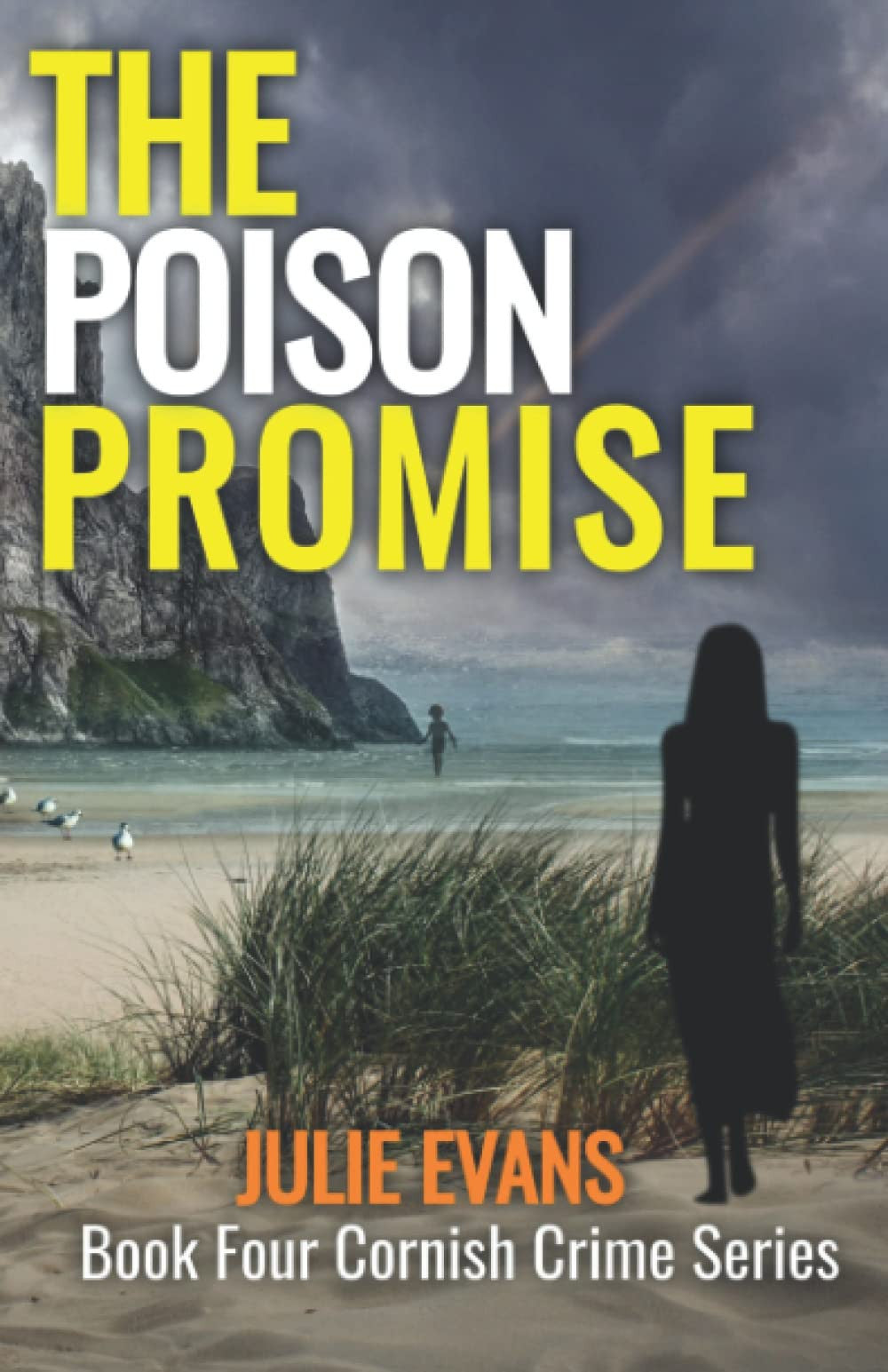 The Poison Promise: CORNISH CRIME SERIES BOOK FOUR